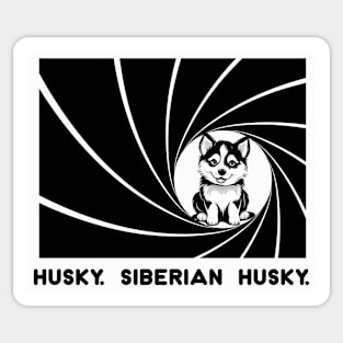 Husky. Siberian Husky. Sticker